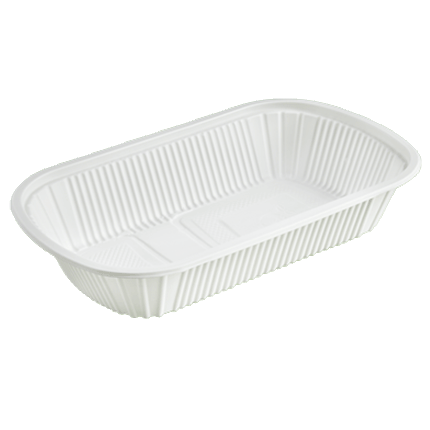 ظرف غذا گیاهی 